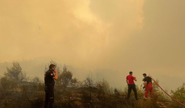 Muğla’da Her 10 Yangından 7’sinin Nedeni İnsan