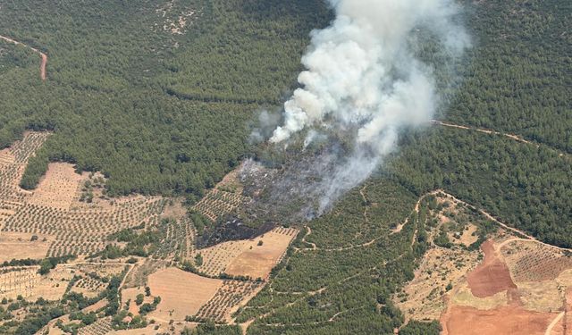 Yatağan’da tarım arazisindeki yangın ormana sıçradı