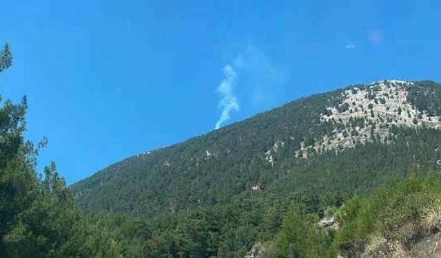 Fethiye Nif’te çıkan orman yangını söndürüldü