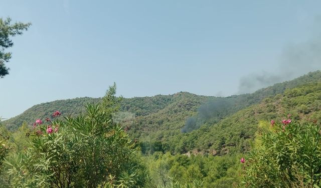 Günlüklü Koyu’ndaki yangına 15 dakikada müdahale faciayı önledi