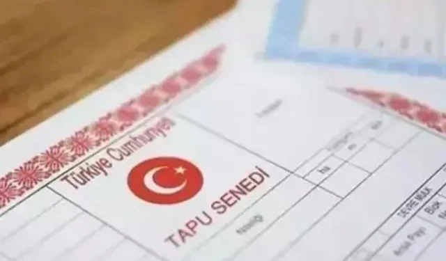 Miras paylaşımında kardeş kavgası bitiyor! Uzman isim açıkladı