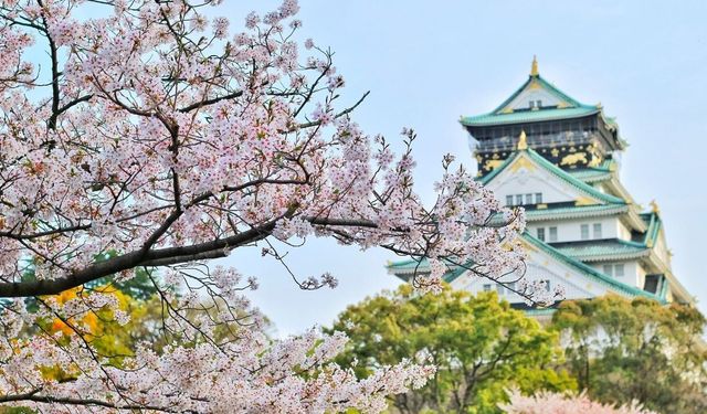 Japonların uzun yaşam sırrı: İkigai