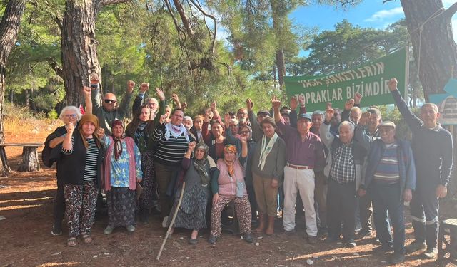 Danıştay’dan Akbelen kararı: 679 parsel için dava reddedildi
