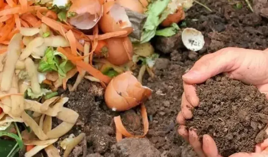 Bu atıkları çöpe değil toprağa atın