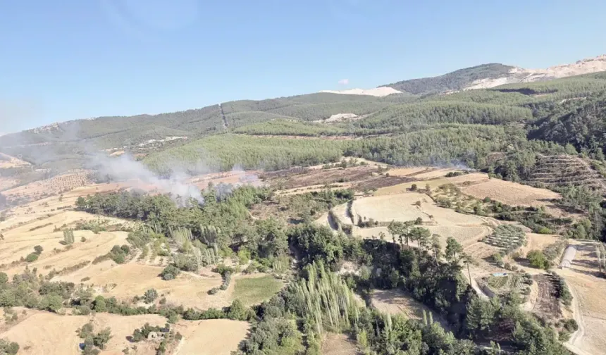 Kavaklıdere-Bozdoğan sınırındaki yangını kısa sürede söndürüldü