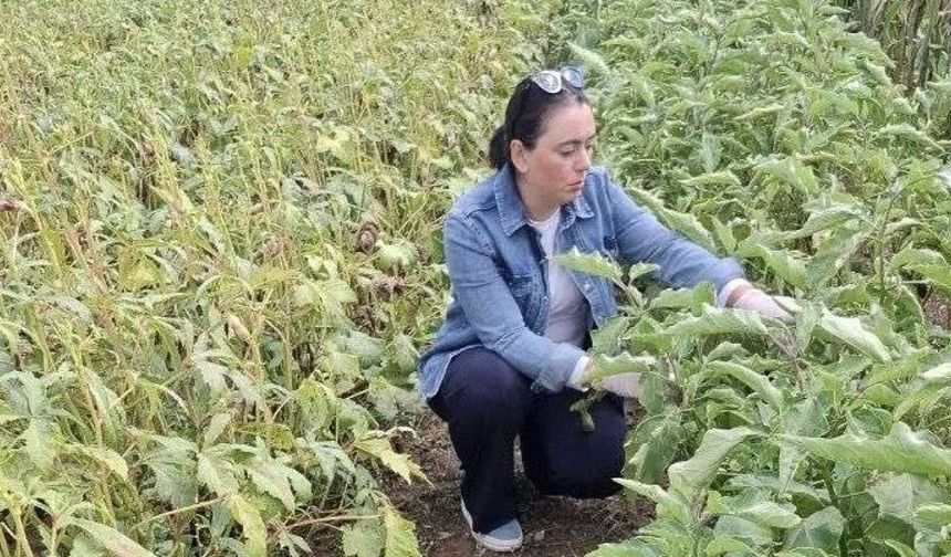 Menteşe’de Sağlıklı Ürün İçin Laboratuvar Destekli Denetim