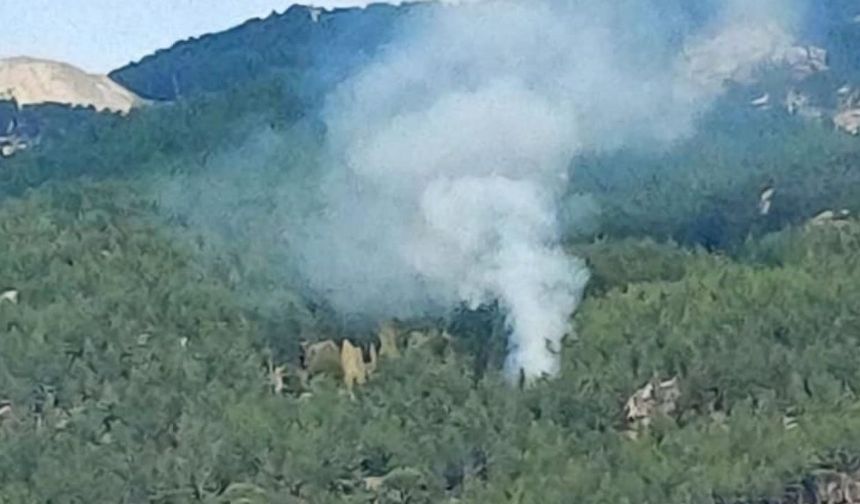 Kavaklıdere'de orman yangını