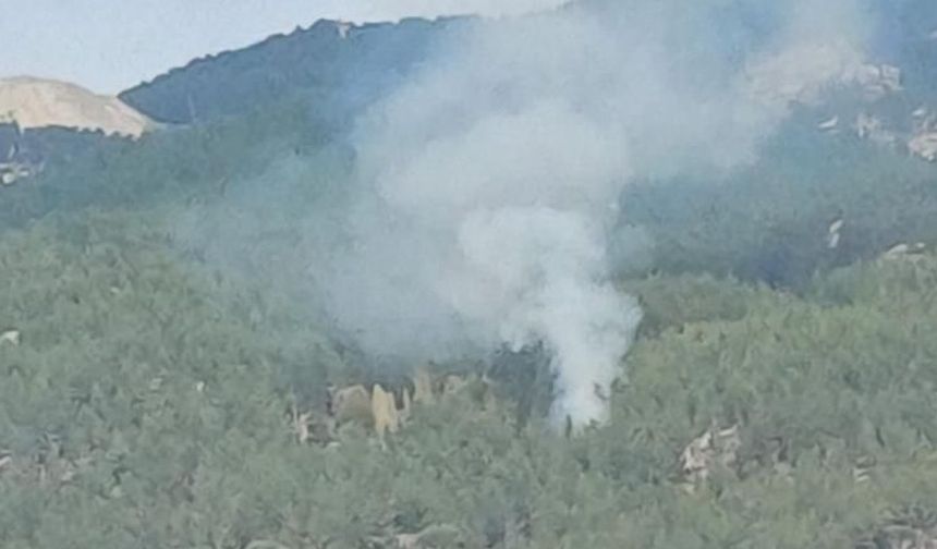 Kavaklıdere'deki orman yangını kontrol altına alındı