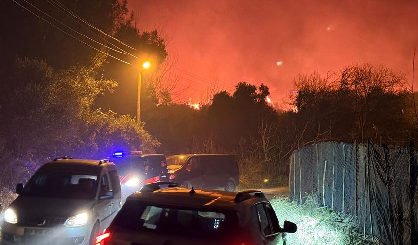 Antalya'da orman yangını