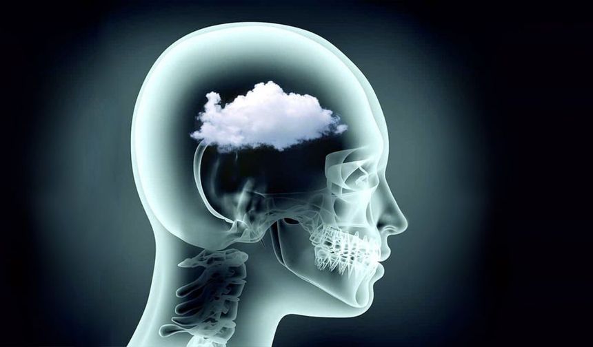 Unutkanlık ve Odak Sorunu Yaşıyorsanız Dikkat!