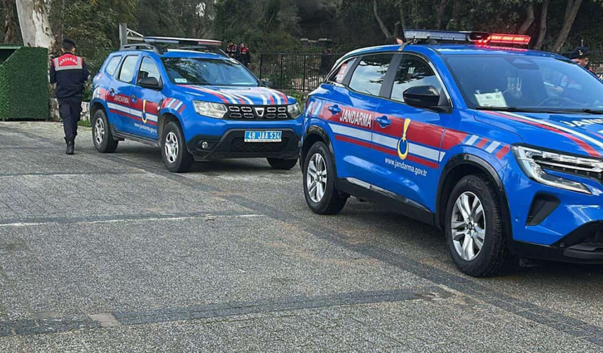 Bodrum'da iki köpeğin silahla vurulduğu iddiası