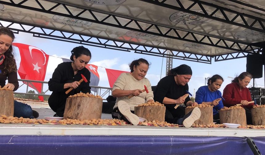 Datça 7. Badem Çiçeği Festivali sona erdi