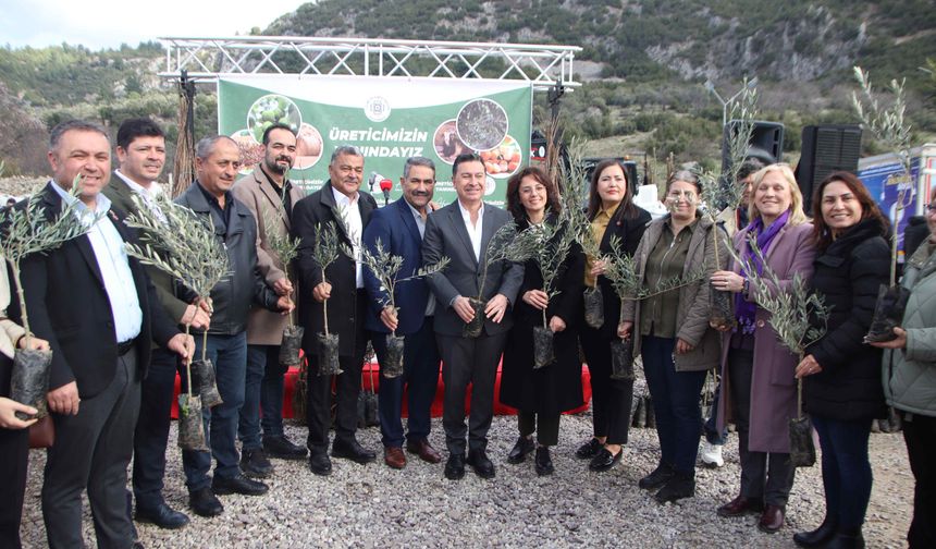 Menteşe’de Üreticilere 50 Bin Fidan Dağıtıldı