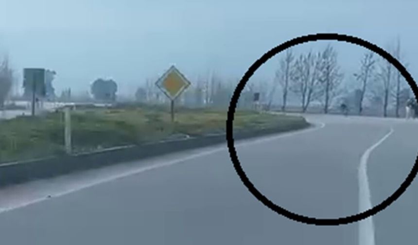 Akrobatik hareketler yapan motosiklet sürücüsü tarlaya uçtu