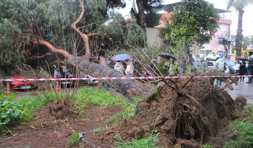 Sabah Saatlerinde Korku Dolu Anlar