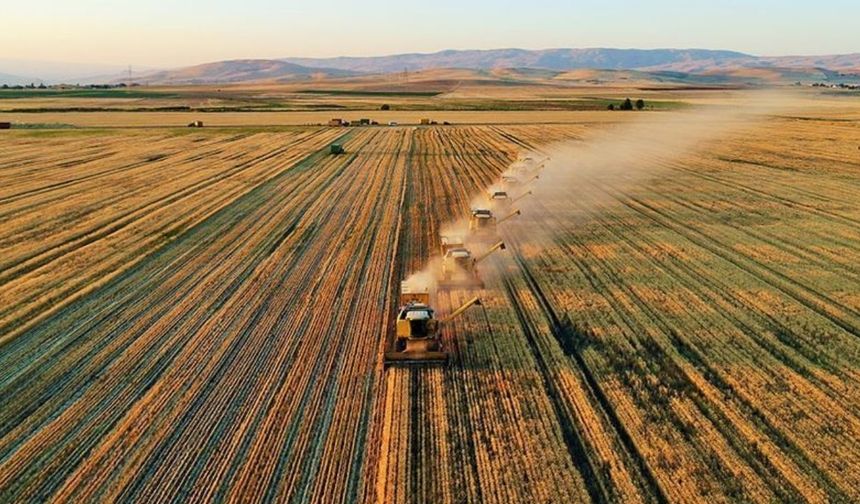 Mazot ve gübre desteği ödemeleri ne zaman yatacak? Şubat 2026 çiftçi destek ödemesi sorgulama ekranı ve takvim detayları