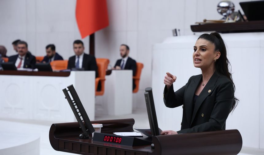 Gizem Özcan: "Muğla Verdiği 12 TL’ye Karşılık 1 TL Yatırım Alıyor"