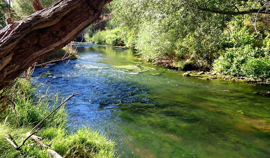 Muğla’da Herkesin Bilmediği Doğa Harikası: Gökçeler Kanyonu