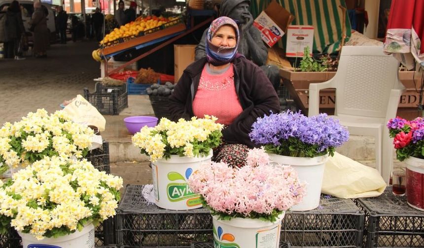 Menteşe Pazarında Baharın Habercisi Nergis Yoğun İlgi Görüyor