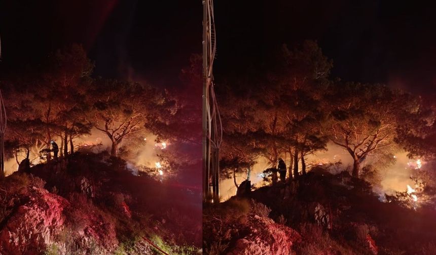 Bodrum'da Korkutan Yangın: Müdahale Başladı
