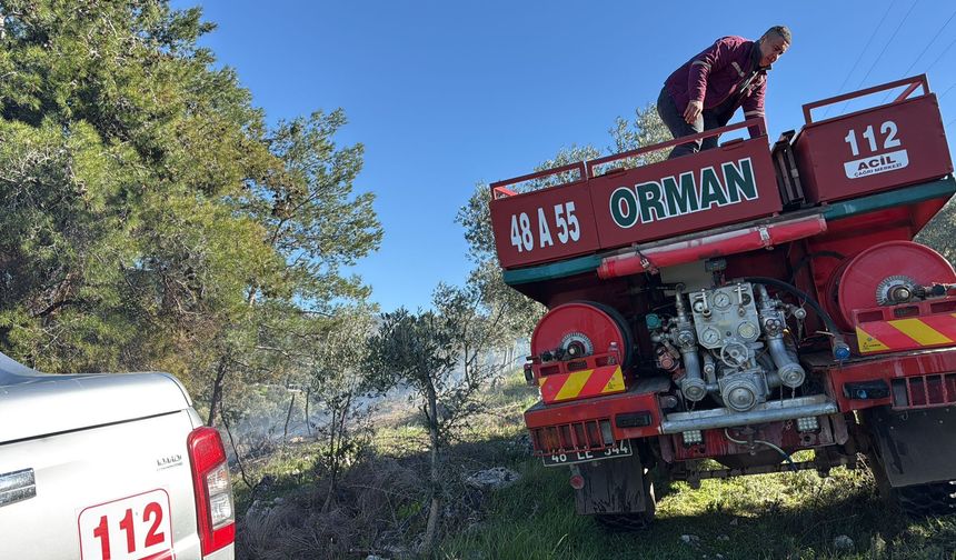 Bodrum Mumcular’da Orman Yangını Paniği