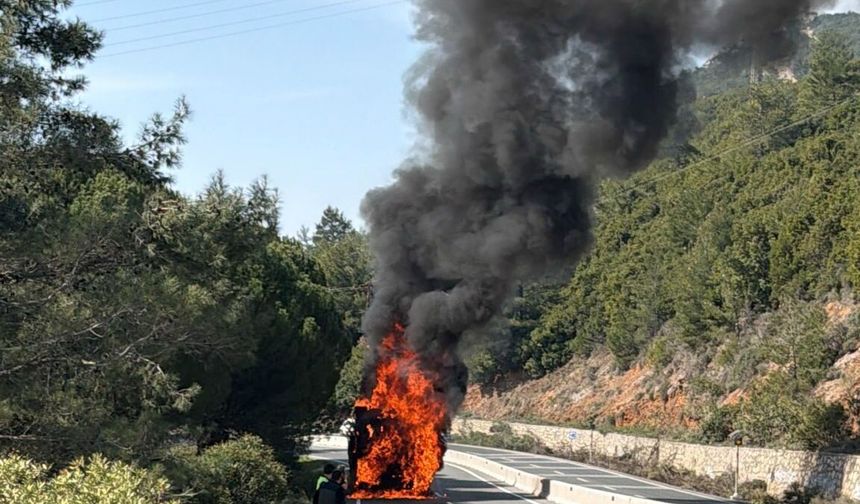 Sakar Geçidi’nde Ağaç Yüklü Tır Alev Aldı