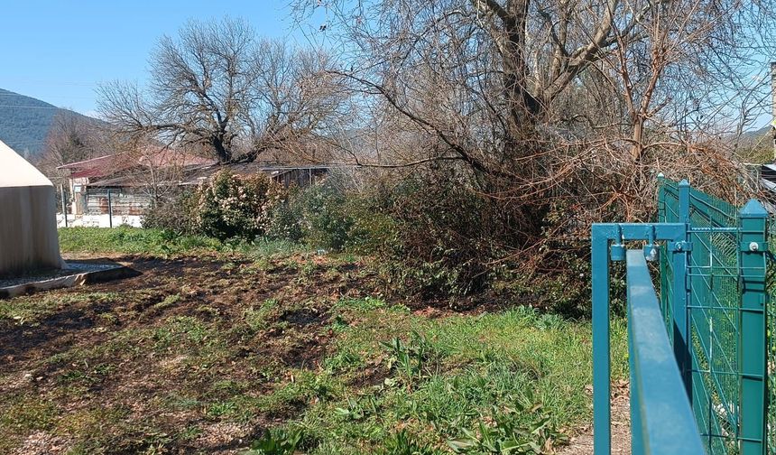 Menteşe’de Çalılık Yangını: İpek Böceği Çadırı Zarar Gördü