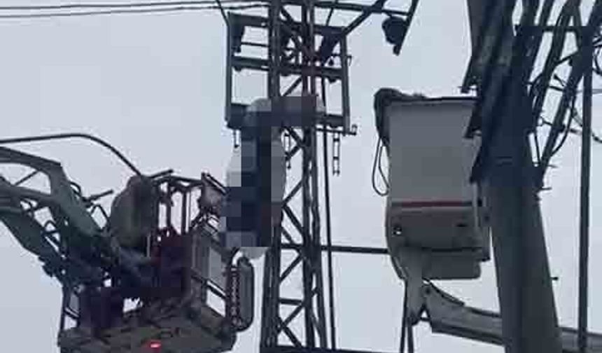 Hırsızlık için çıktığı elektrik direği sonu oldu