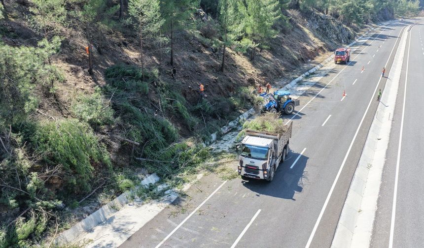 Muğla'da orman yangınlarına karşı "Yeşil Kalkan"