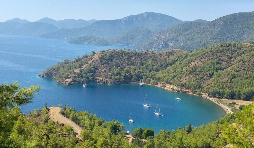 Fethiye'de 'marina' isyanı