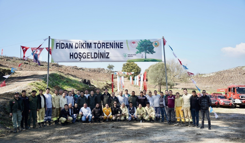 Milas'ta yanan sahalar fidanlarla canlanıyor