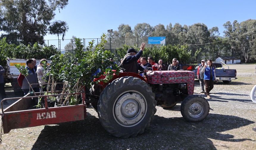 Zirai Donun Zarar Verdiği Üreticilere Fidan Desteği