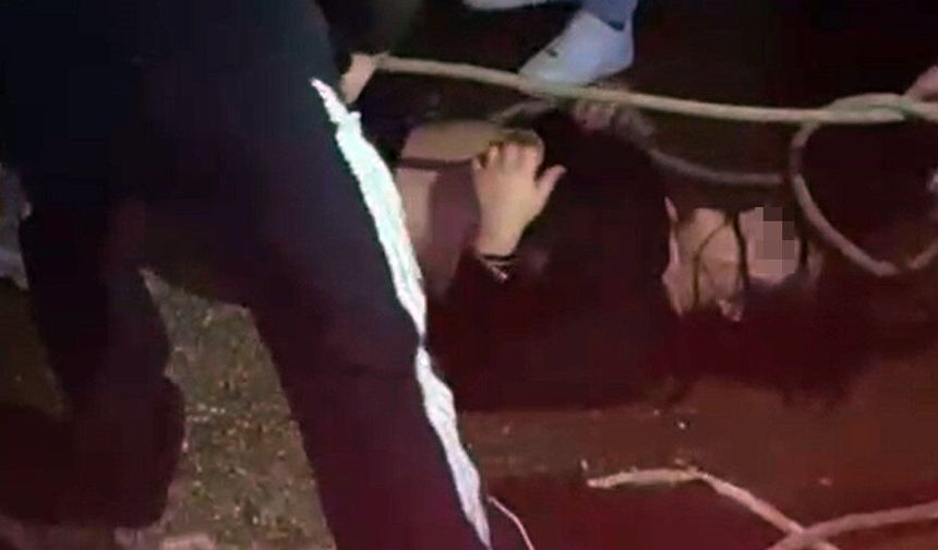 Marmaris’te Denize Atlayan Kadını Vatandaşlar Kurtardı