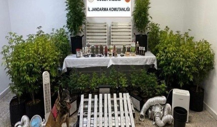 Muğla'da Tarihi Tevrat Ele Geçirildi