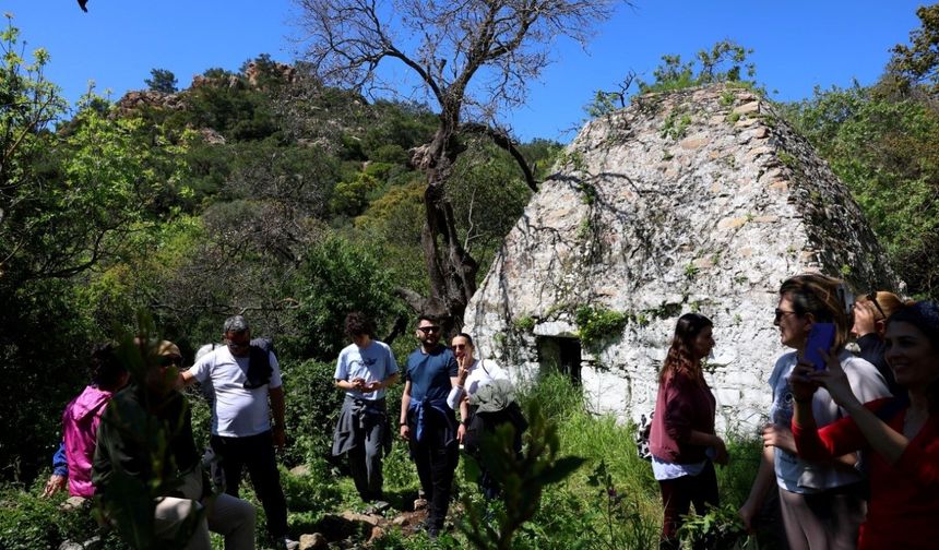 Bodrum’da kültür ve doğa yürüyüşleri yoğun ilgi görüyor