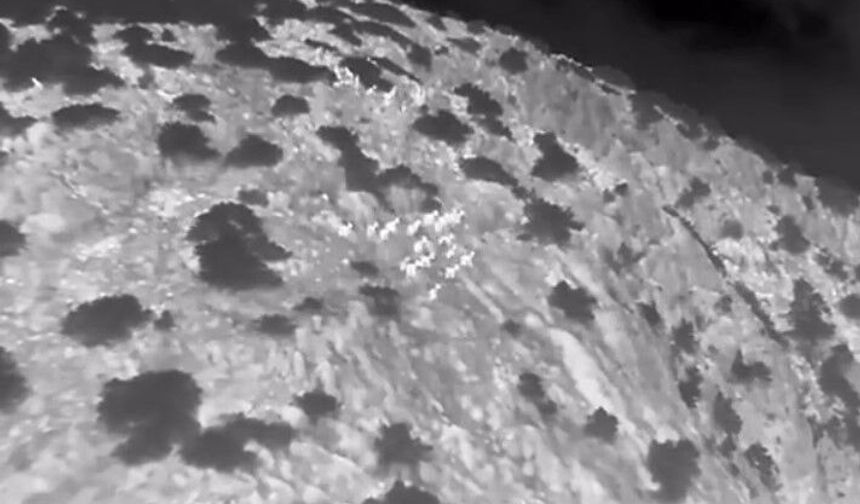 Muğla’da yaban keçileri termal kameralı drone ile görüntülendi