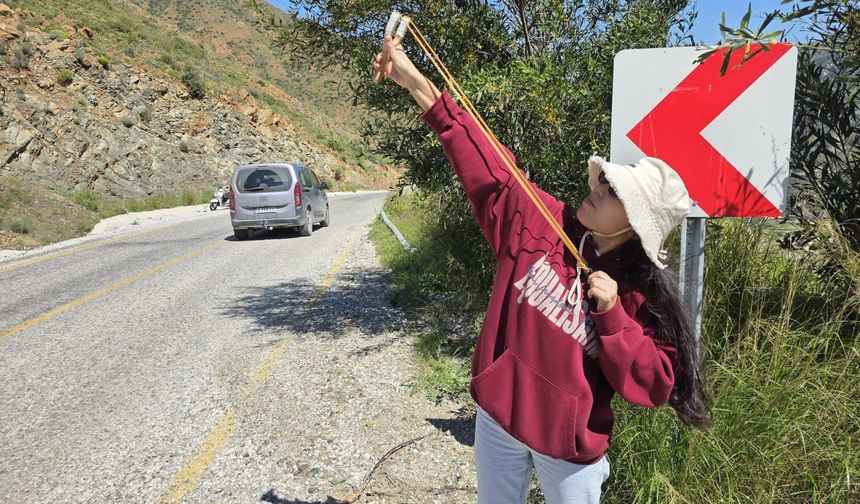 Marmaris’te sapanla tohum topu attılar