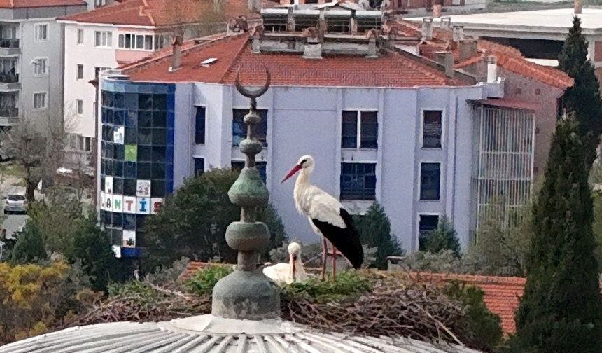 Menteşe’de Baharın Habercisi Geldi