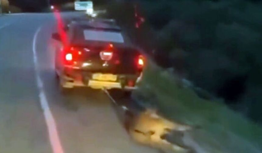 Muğla’da eşeğe vahşet: Sürükleyen 2 kişiye para cezası