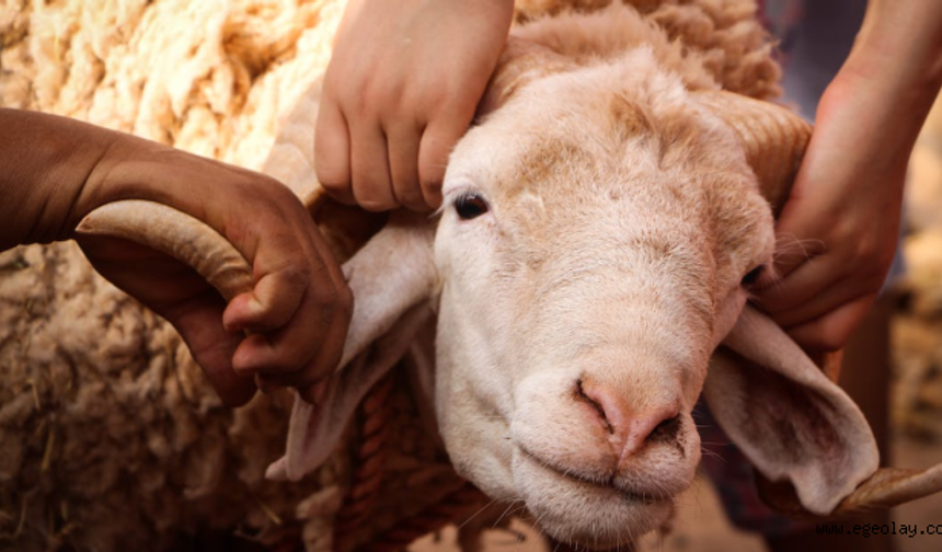 Kurban Bayramı tatili 9 gün olacak mı? Kurban Bayramı kaç gün? Kurban Bayramı ne zaman 2026?
