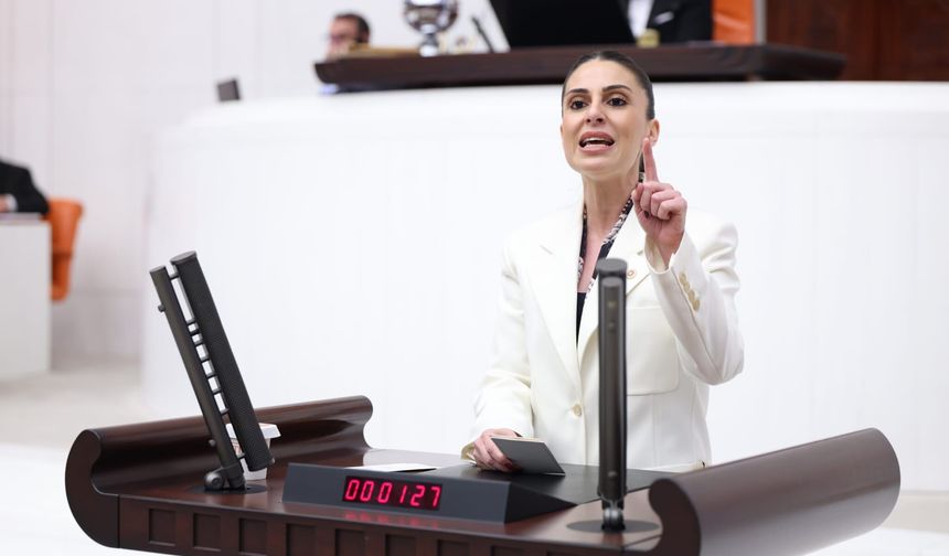 CHP’li Özcan’dan Akbelen çıkışı: “Bir şirket kazanacak diye bir halk kaybetsin istiyorsunuz”