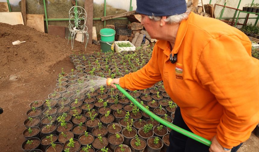 Milyonluk tasarrufun adresi: Marmaris Belediyesi seraları