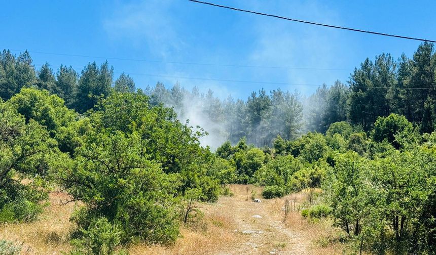 Menteşe’de Orman Yangını Kısa Sürede Kontrol Altına Alındı