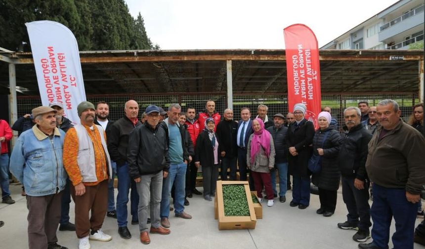 Muğla’da Ata Tohumu Seferberliği Başladı