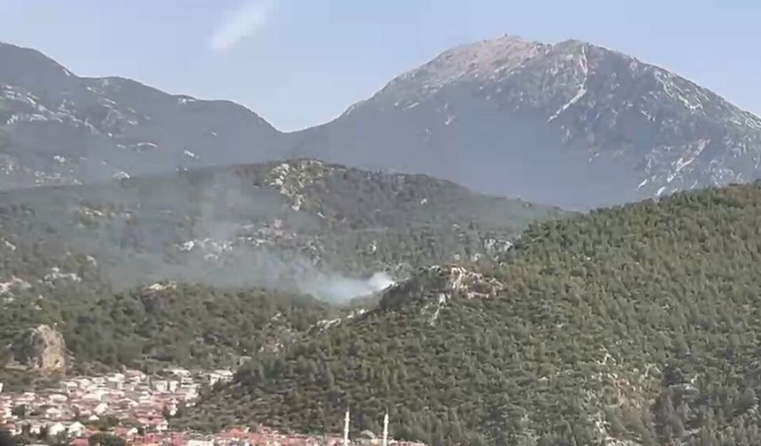 Fethiye’de ormanlık alanda yangın çıktı