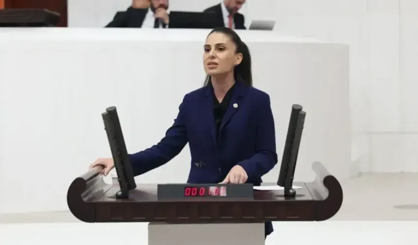 Gizem Özcan Akçay Deresi Çalışmasını TBMM Gündemine Taşıdı