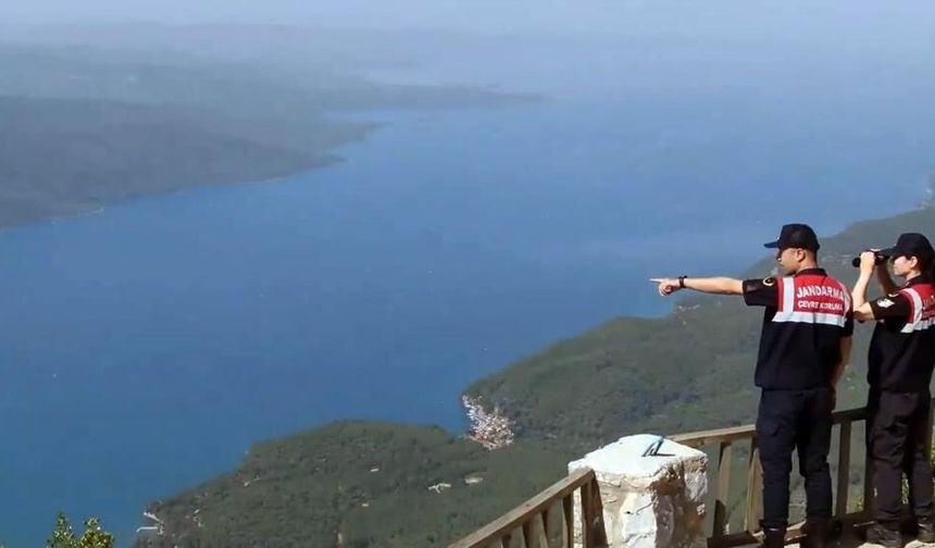 Muğla’da 50 Ormanlık Alana Giriş Yasaklandı