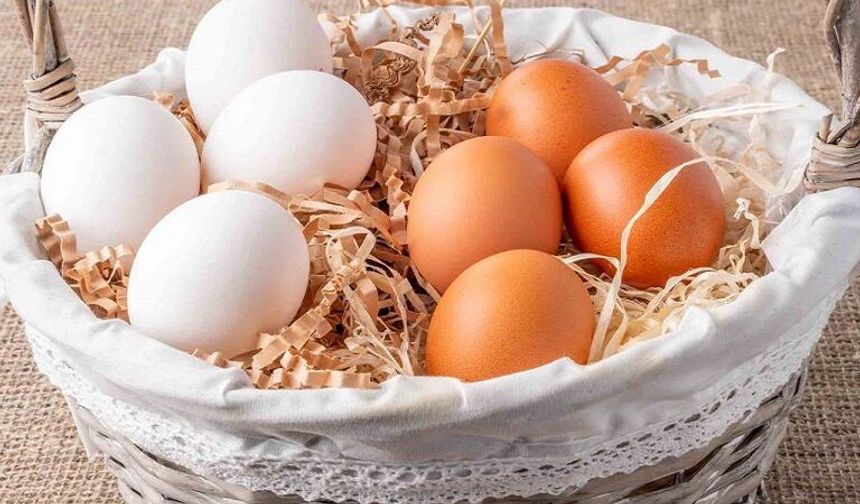 Uzmanlar açıkladı: Yumurtanın beyazı mı yoksa sarısı mı faydalı