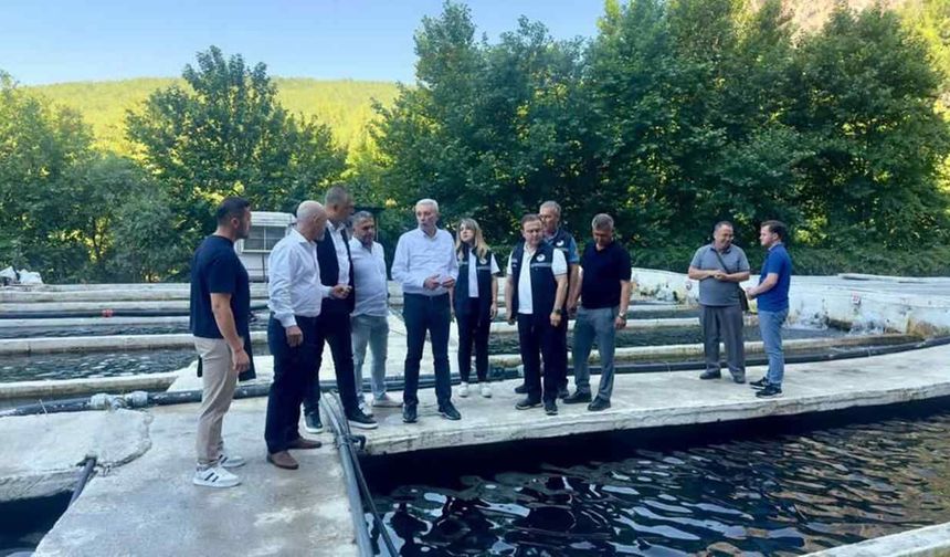Seydikemer’de alabalık üretimi için saha incelemesi