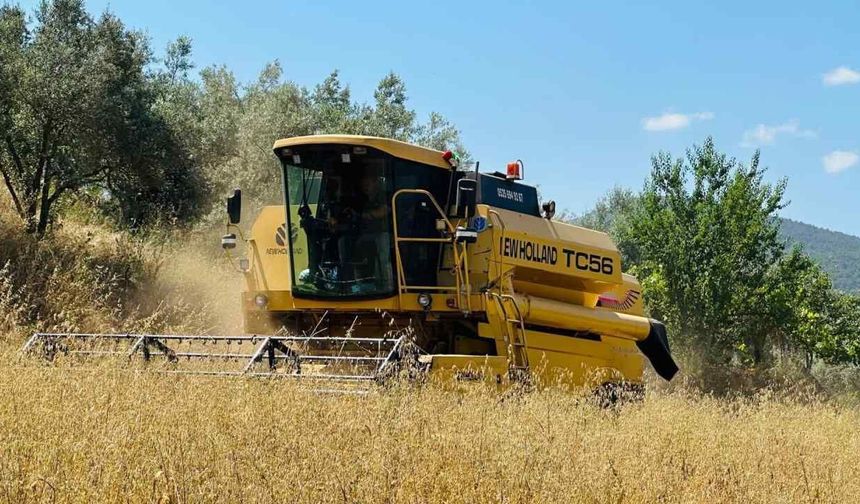 Menteşe’de Arpa ve Yulaf Hasadında Biçerdöver Denetimi